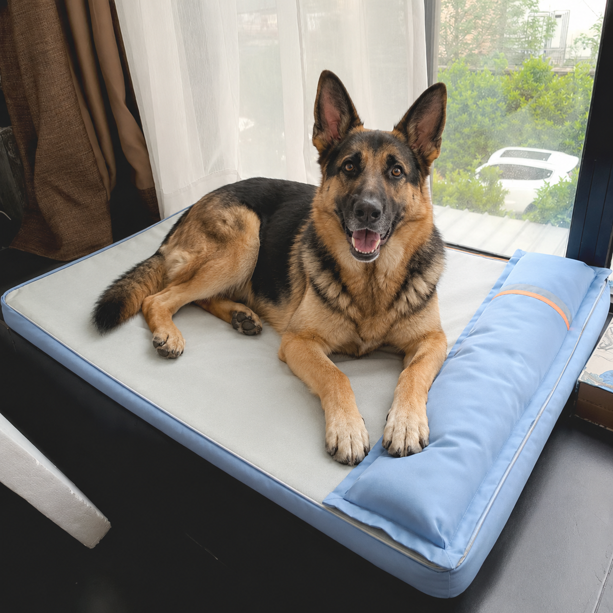 Sammy | Stressfrei schlafen mit Unterstützung