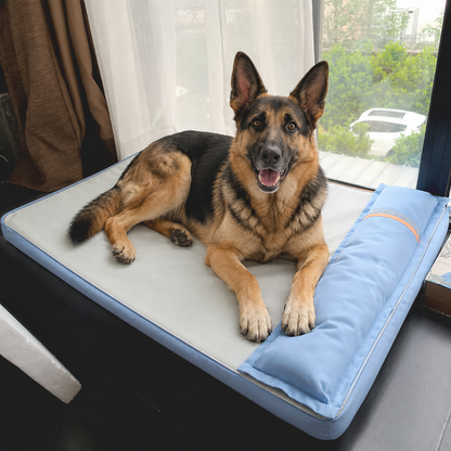 Sammy | Stressfrei schlafen mit Unterstützung
