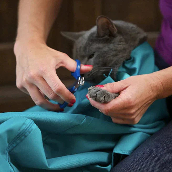 Lulu Tragetasche für Katzen und kleine Haustiere