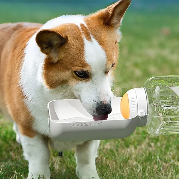 Dax | 2-in-1 Trinkflasche mit Hundefutternapf für unterwegs