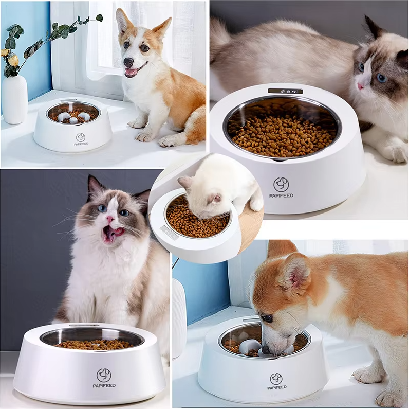 Dylan | Automatischer Futterspender für Hunde und Katzen mit Timer und Digitalanzeige