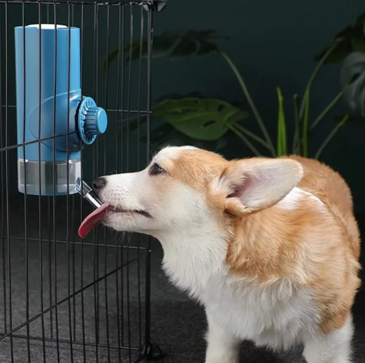 Gina | Haustier-Trinkflasche mit Wasserabgabefunktion-Für Hunde und Katzen