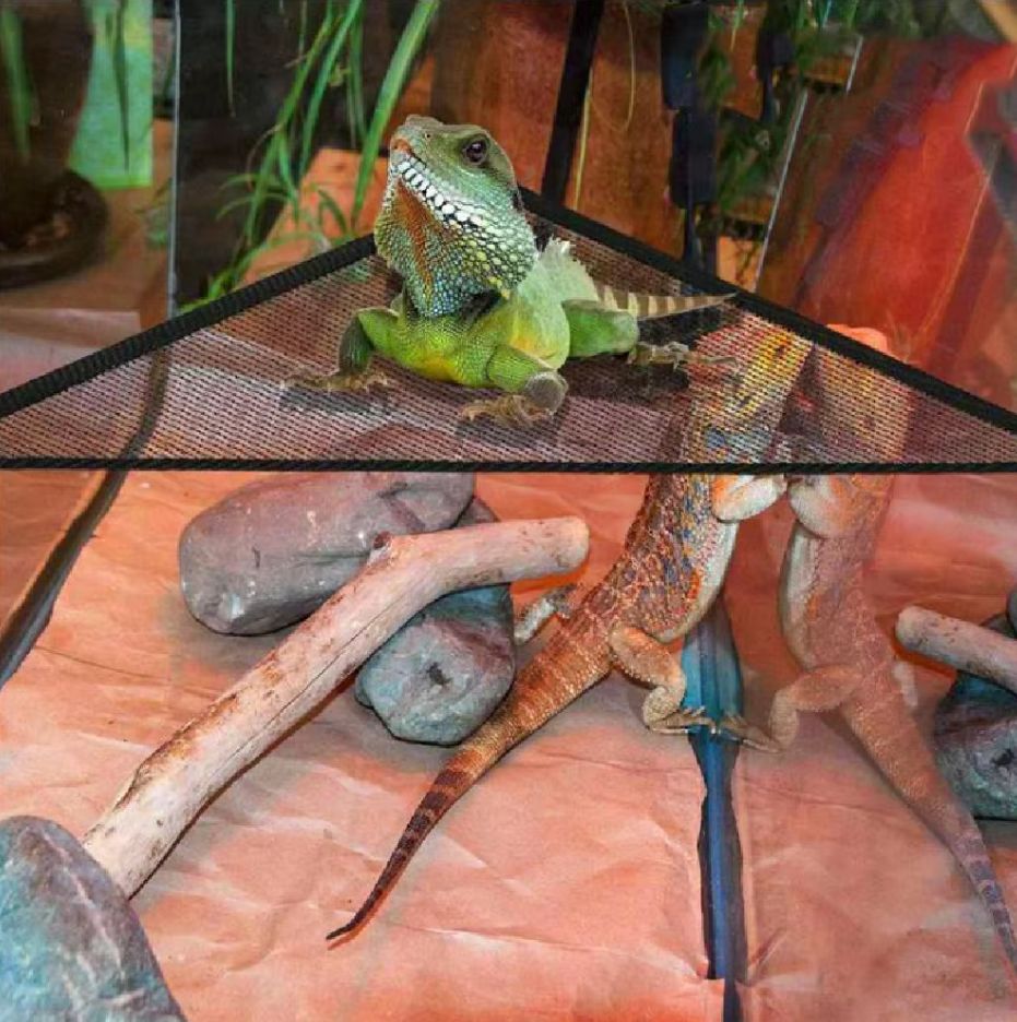 Rango | Reptilien Hängematte mit Saugnäpfen – Netzliege für Terrarium und Glasflächen