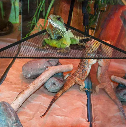 Rango | Reptilien Hängematte mit Saugnäpfen – Netzliege für Terrarium und Glasflächen