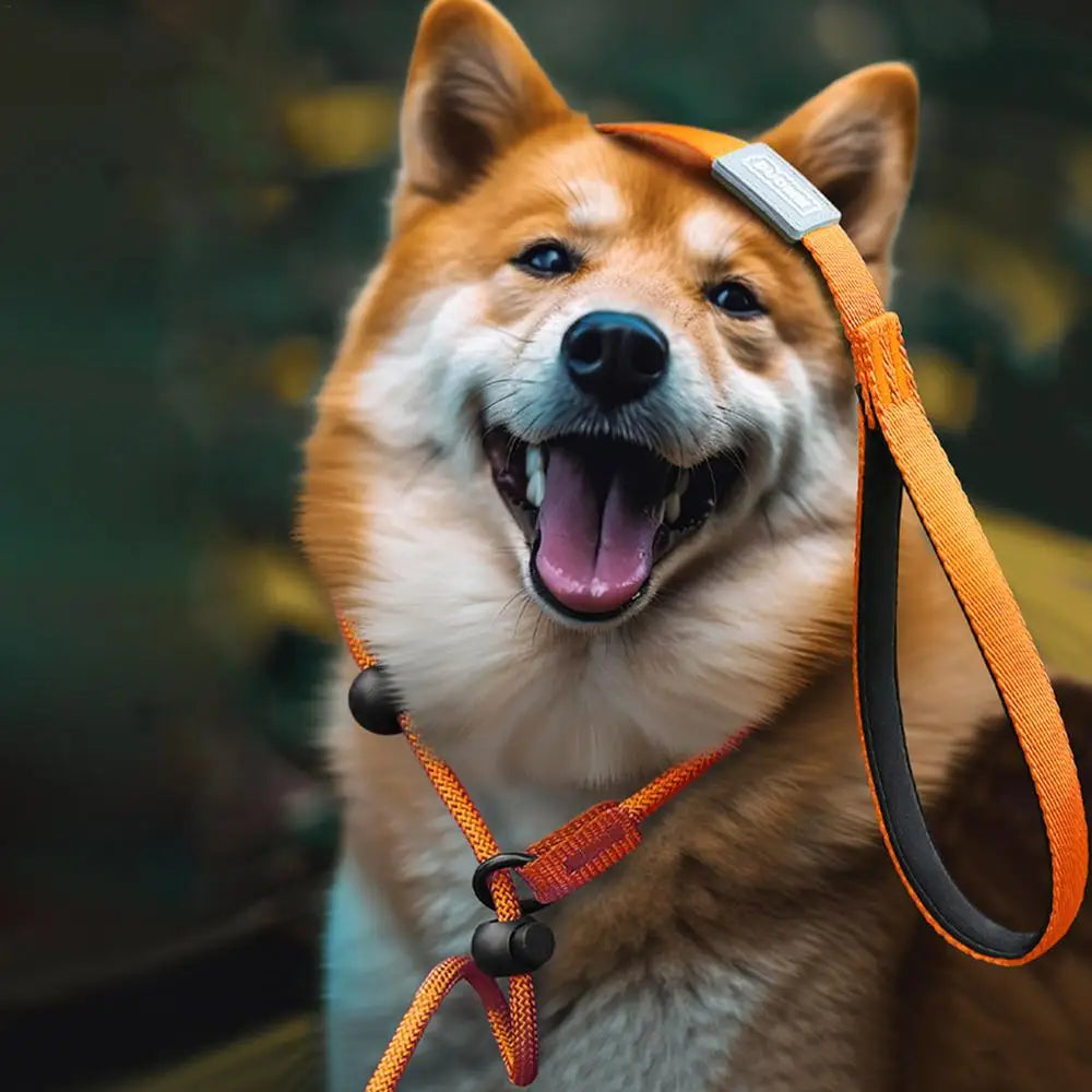 Archie Verstellbare reflektierende Leine für Hunde