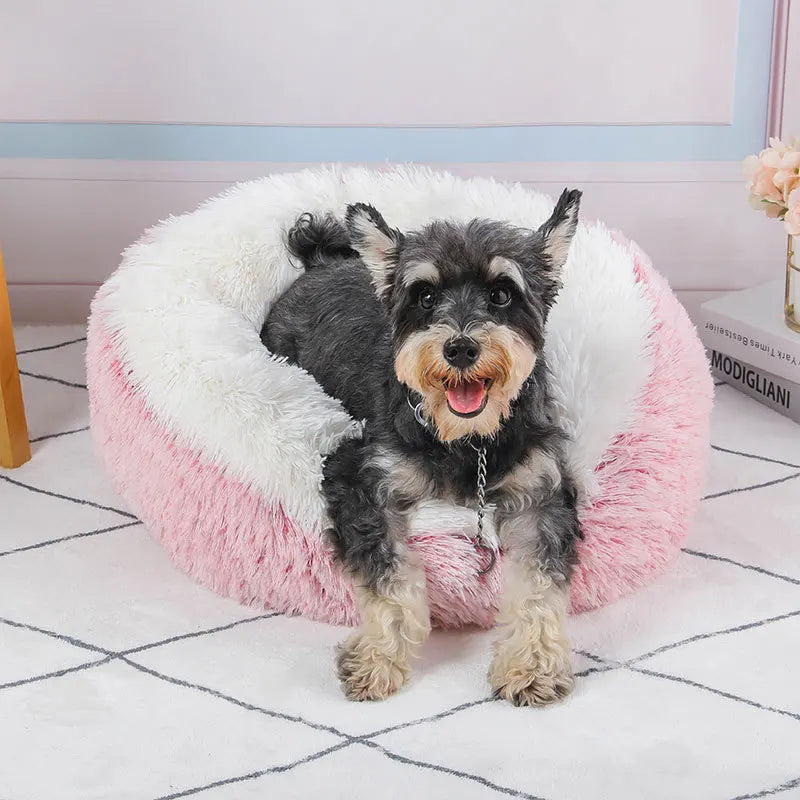 Poffin Donut Hundebett