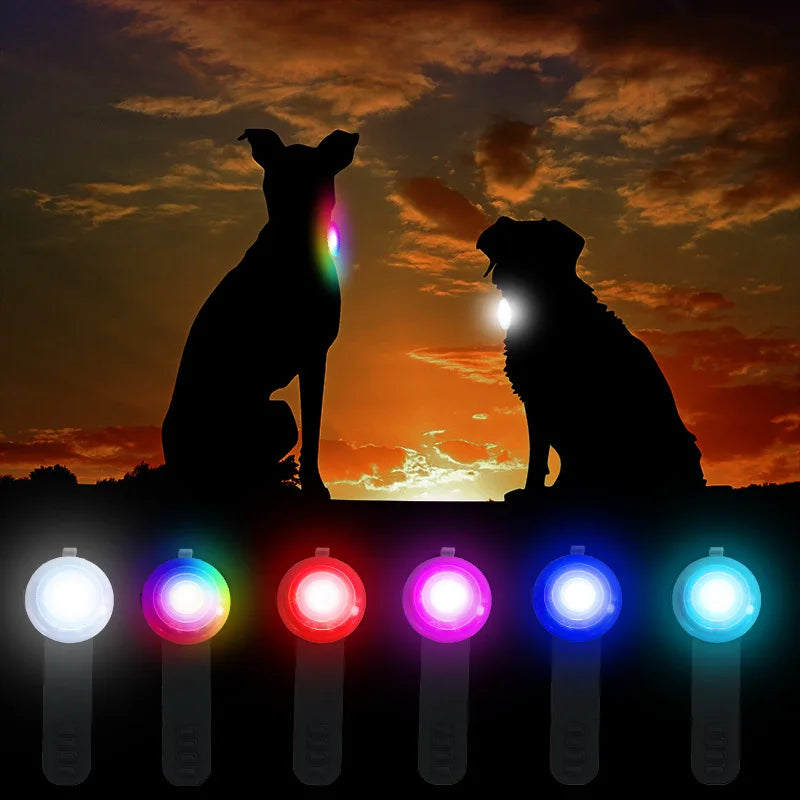 Frank Wiederaufladbares LED-Hundehalsband