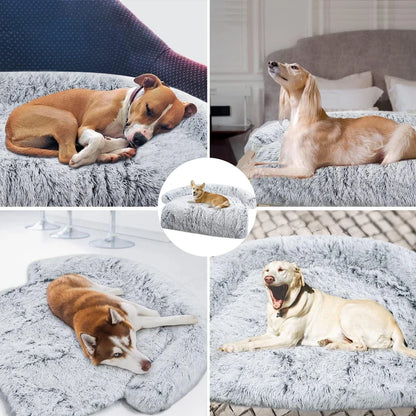 Vortex Hundesofa-Bett