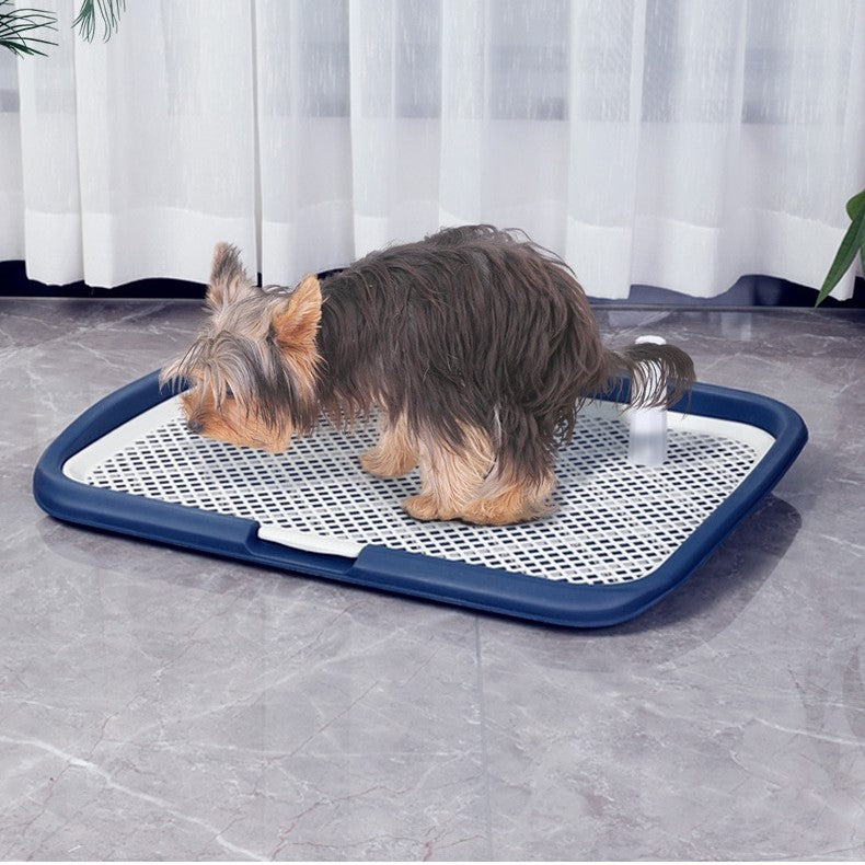 Dotty Toilette zum Töpfchentraining