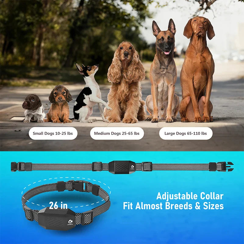 Levin Trainingshalsband mit Fernbedienung fr Hunde | verstellbar Nylon 450 kg | Knuddel Pfoten Levin Trainingshalsband mit Fernbedienung fr Hunde | verstellbar Nylon 450 kg | Knuddel Pfoten