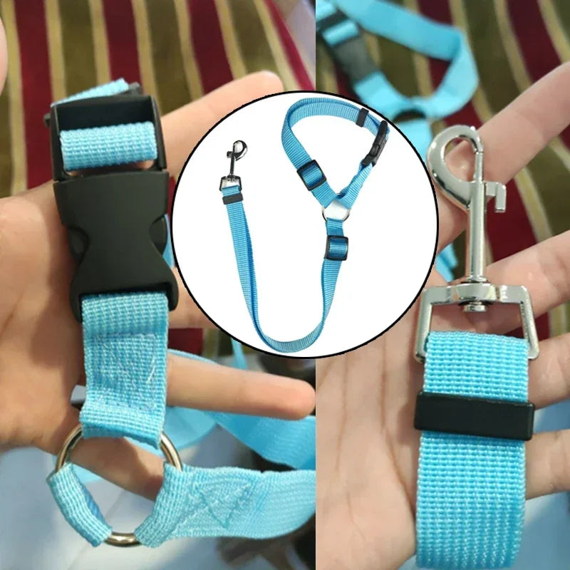 Gerrit Nylon Hunde Sicherheitsgurt Verstellbar