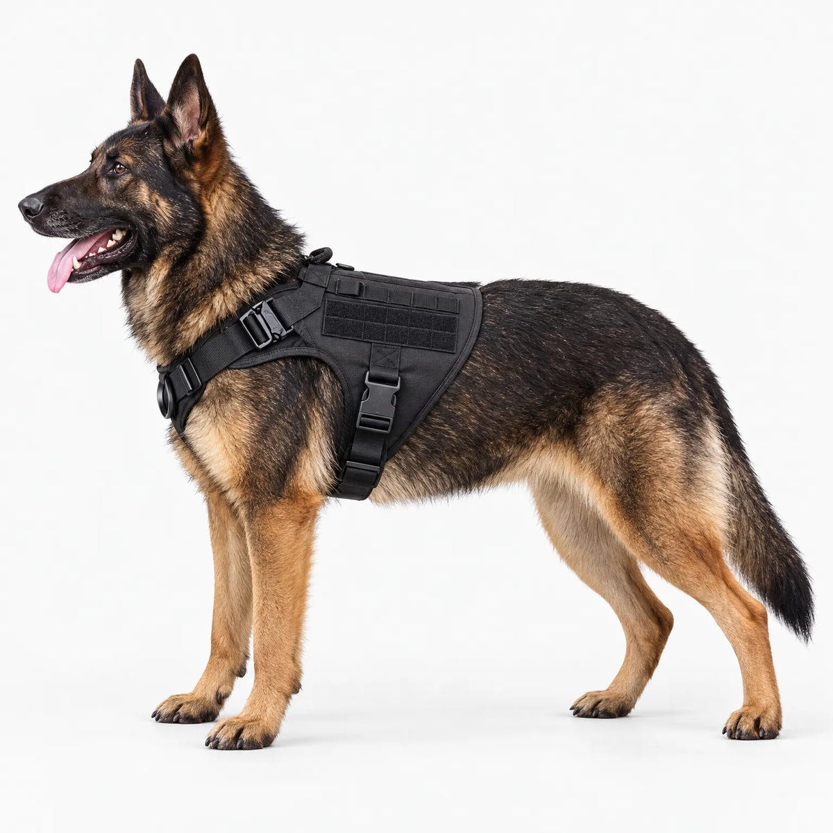 Taktisches Hundegeschirr Für Aktive Hunde