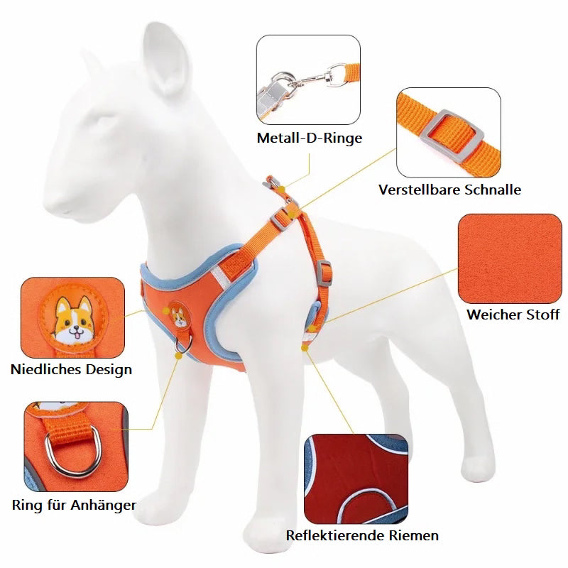 Toni Hundegeschirr