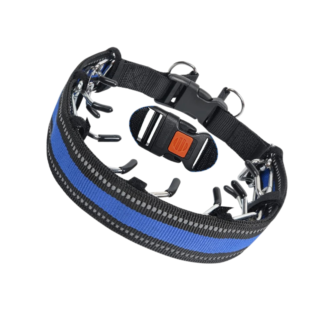 Torvian | No-Pull Halsband für Jagdterrier