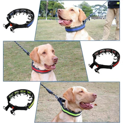 Torvian | No-Pull Halsband für Jagdterrier
