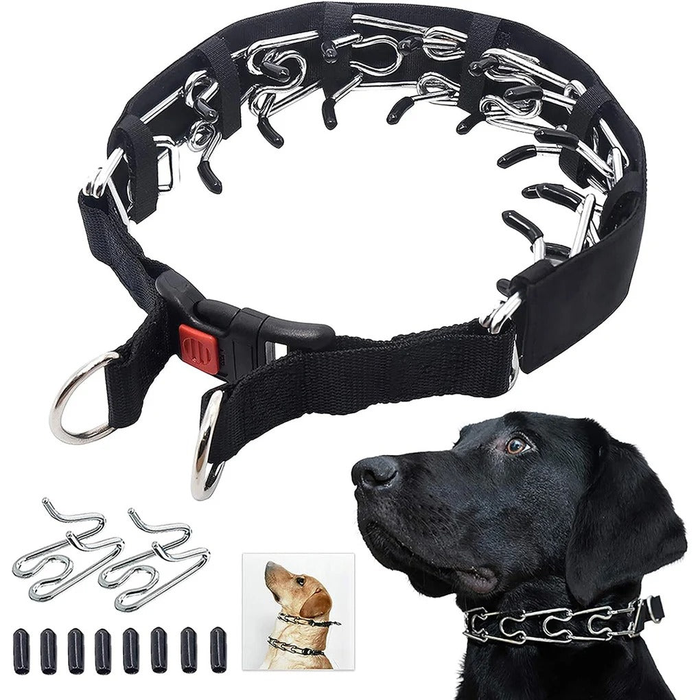 Torvian | No-Pull Halsband für Jagdterrier