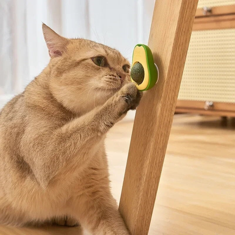 Moritz | Interaktives Katzenspielzeug mit Katzenminze