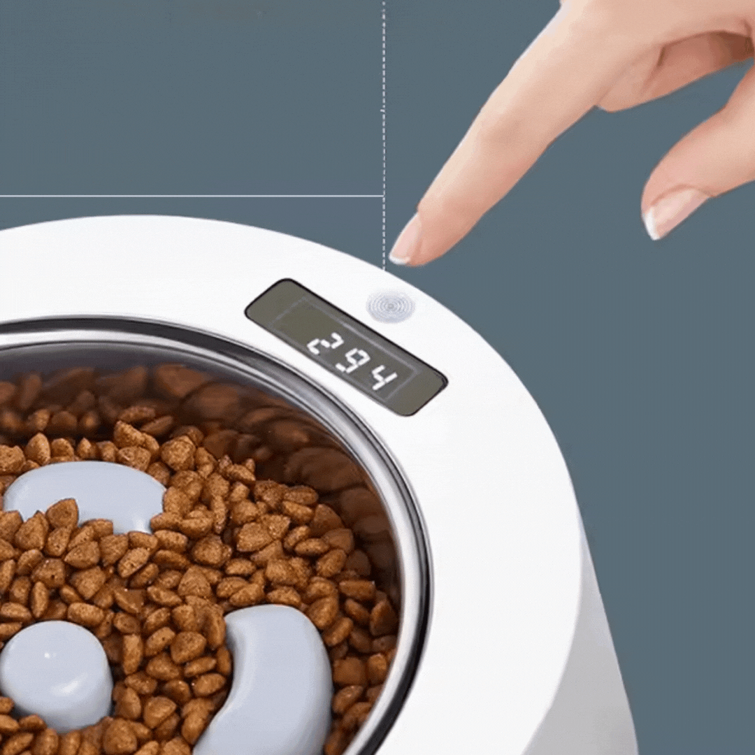 Dylan | Automatischer Futterspender für Hunde und Katzen mit Timer und Digitalanzeige
