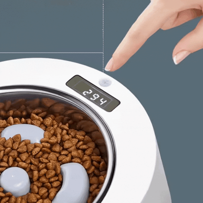 Dylan | Automatischer Futterspender für Hunde und Katzen mit Timer und Digitalanzeige