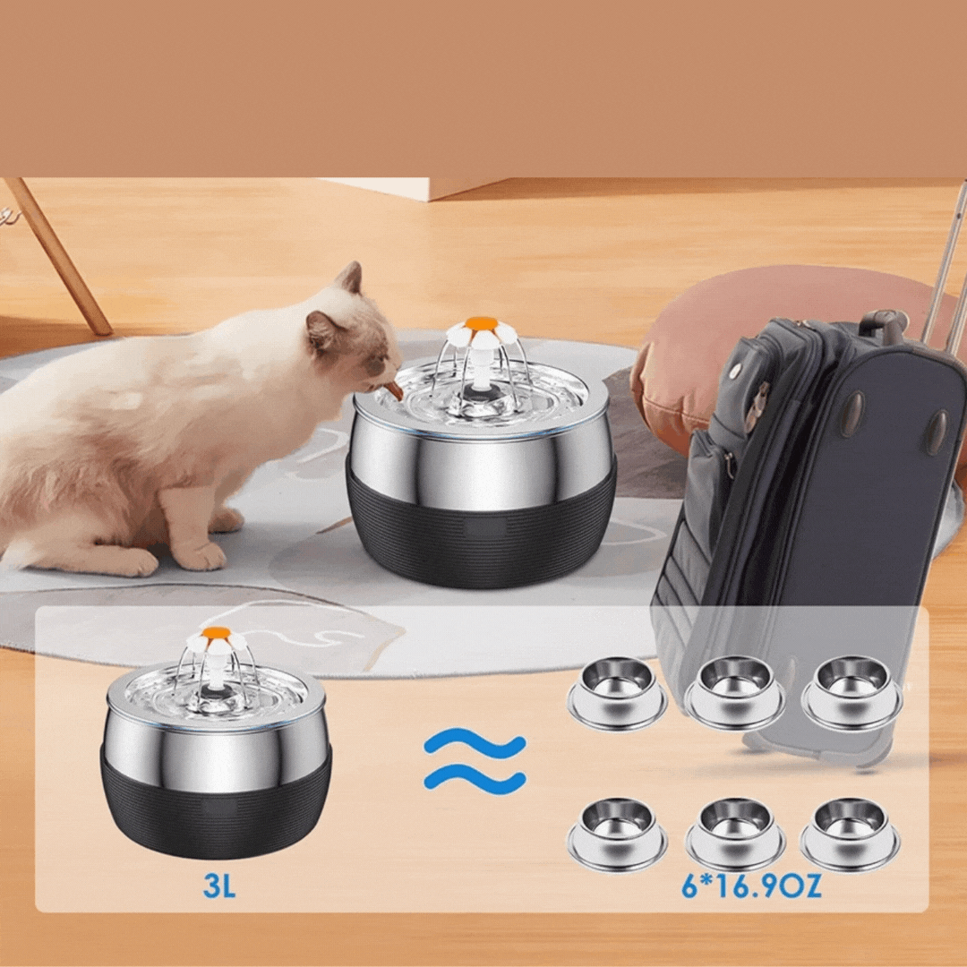 Fynn | Haustier Trinkbrunnen mit metallischer Oberfläche - Für Hunde und Katzen