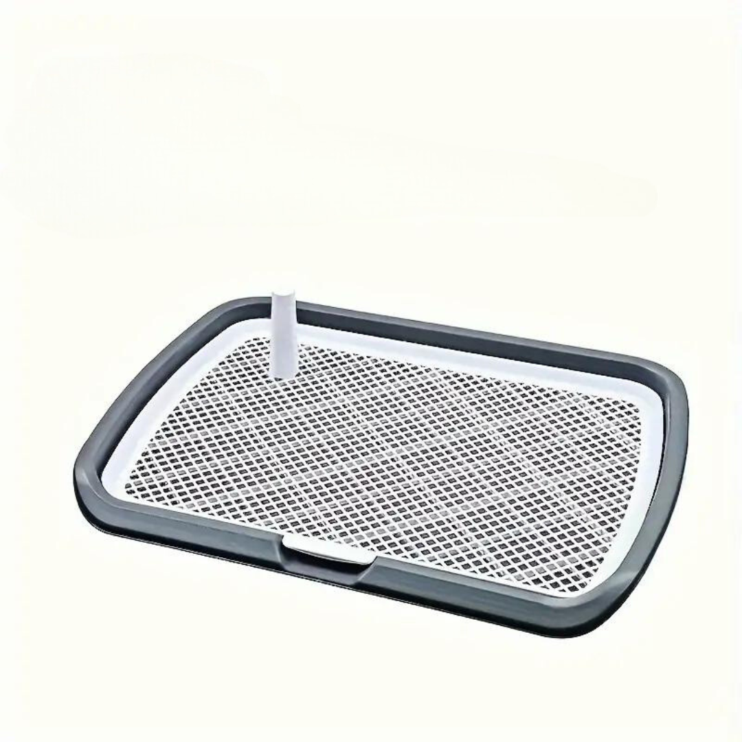 Dotty Toilette zum Töpfchentraining