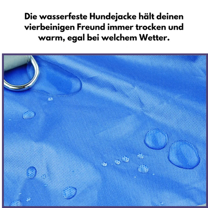 Sturm | Keine Nassen und Stinkenden Felle Mehr