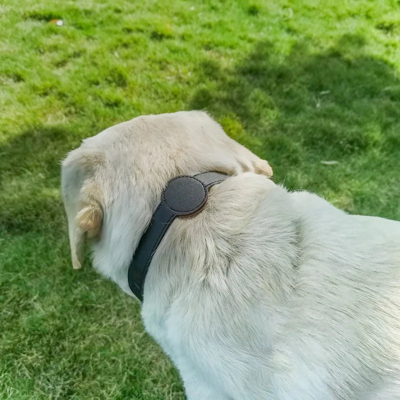 Verstellbares AirTag Hundehalsband aus Kunstleder | Locaro