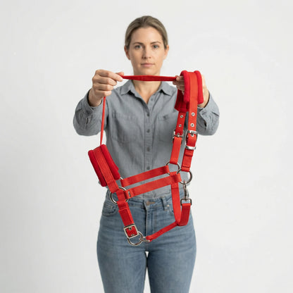 Verstellbares Halfter Für Alltag | EquiLynx
