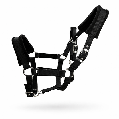 Verstellbares Halfter Für Alltag | EquiLynx