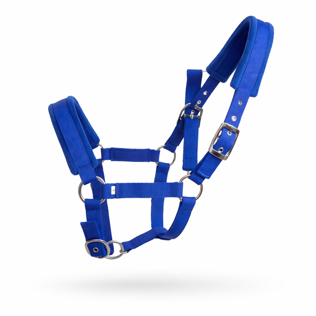 Verstellbares Halfter Für Alltag | EquiLynx