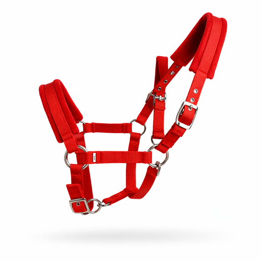 Verstellbares Halfter Für Alltag | EquiLynx