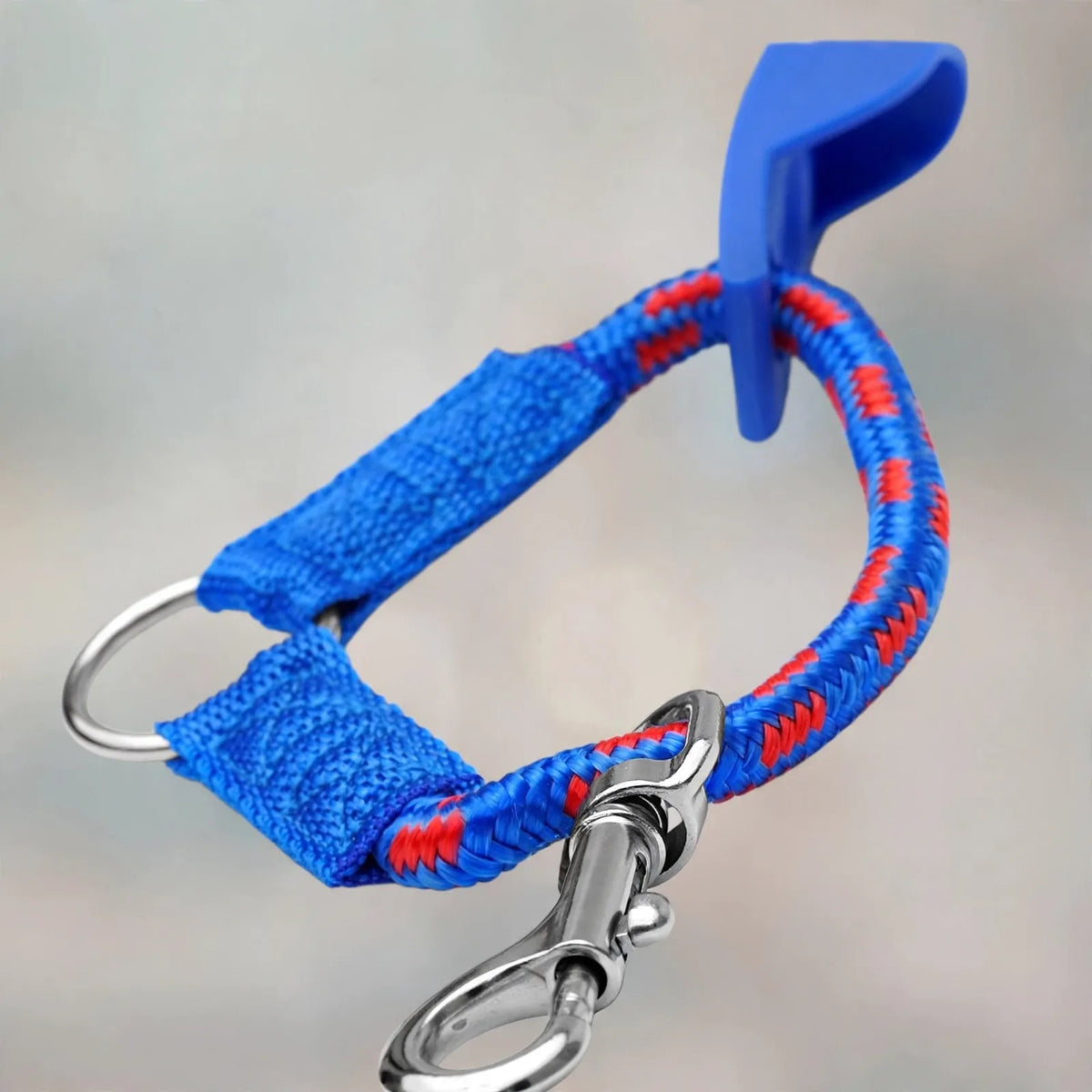 Verstellbares Trainingshalsband Mit Abnehmbaren Gliedern