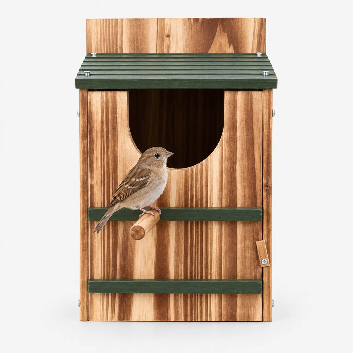 Vogelhaus Mit Sitzstange Und Schrägdach