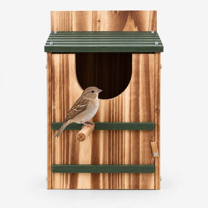 Vogelhaus Mit Sitzstange Und Schrägdach