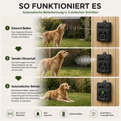 Waldo | Ultraschall Bellstopper für Hunde