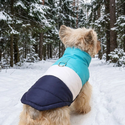 Warmer Hundemantel für Winter und kalte Tage