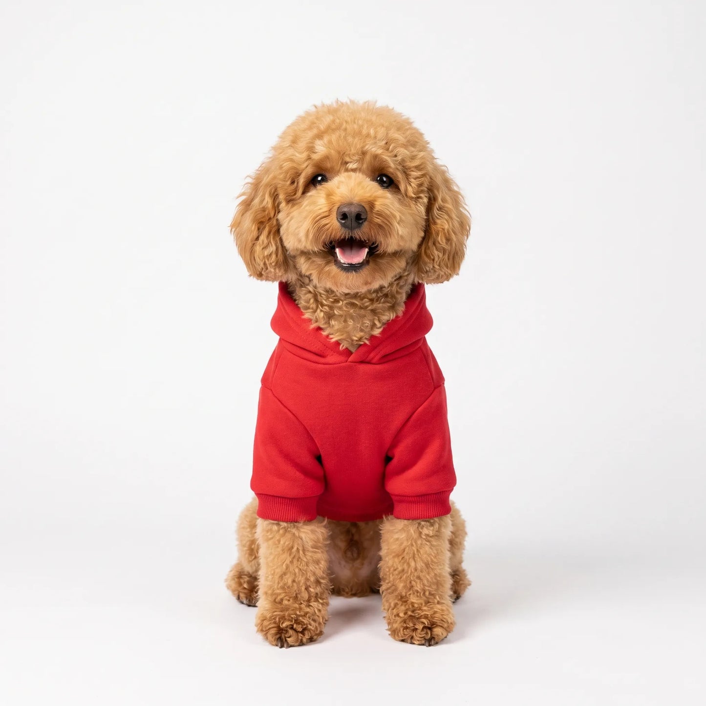 Warmer Hundepullover mit Kapuze