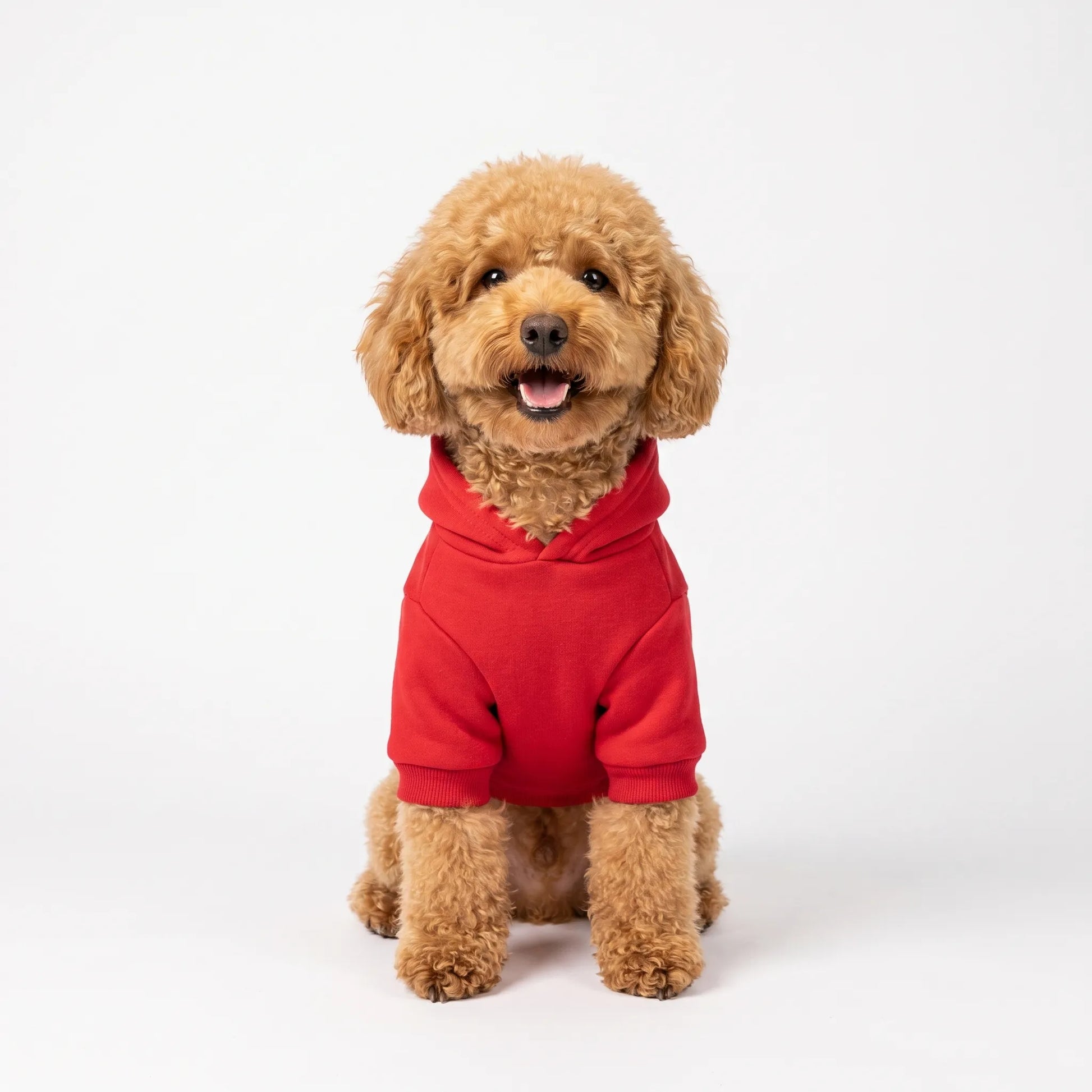 Warmer Hundepullover mit Kapuze