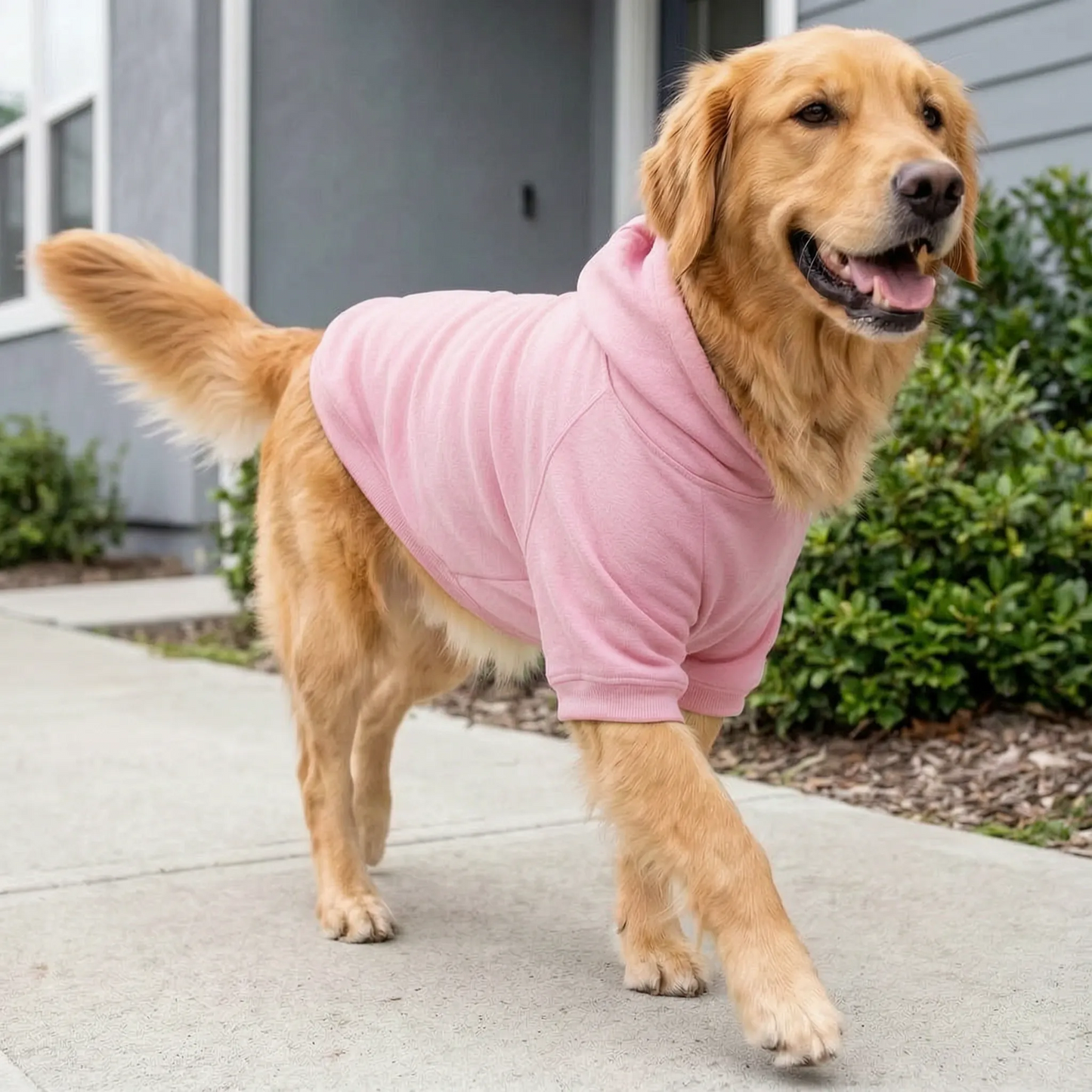 Warmer Hundepullover mit Kapuze