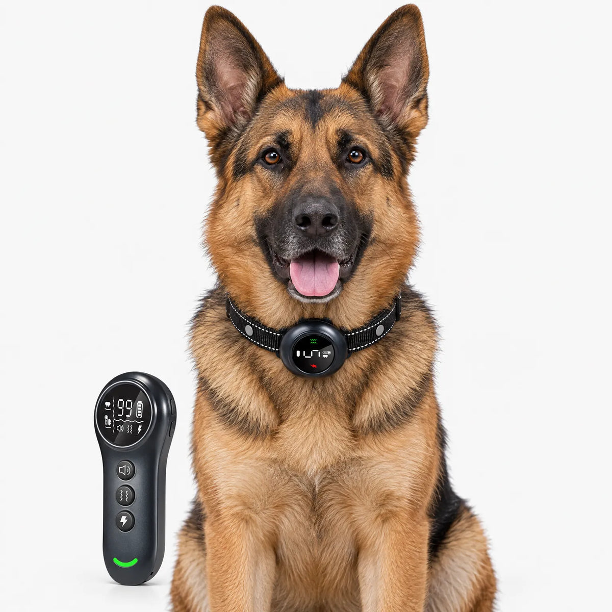 Wasserdichtes Trainingshalsband Mit Digitaler Fernbedienung
