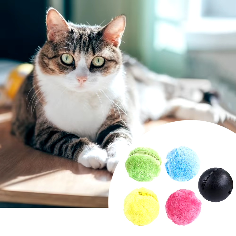 Werner | Spielball Set für endlosen Spaß