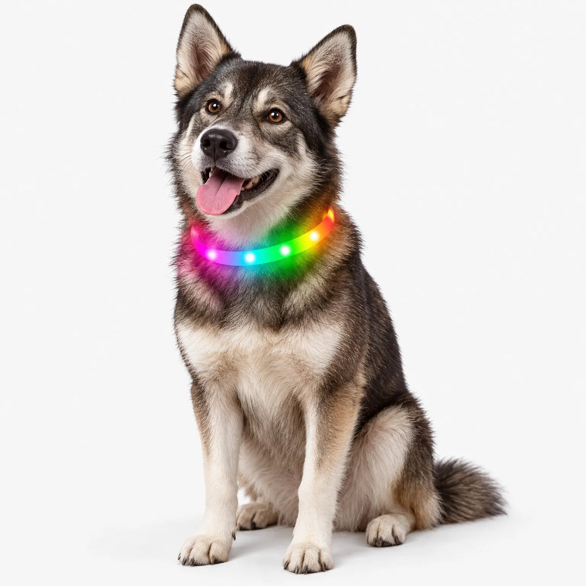Wiederaufladbares LED Leuchthalsband Für Hunde