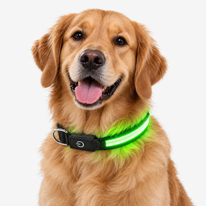 Wiederaufladbares LED Leuchthalsband Für Hunde