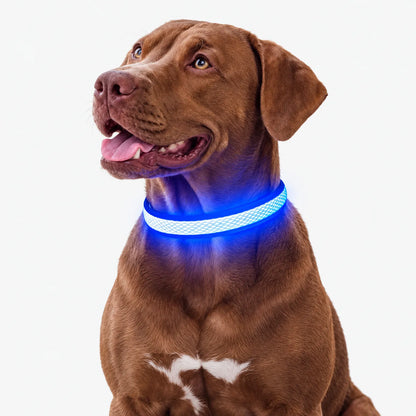 Wiederaufladbares LED Leuchthalsband Für Hunde
