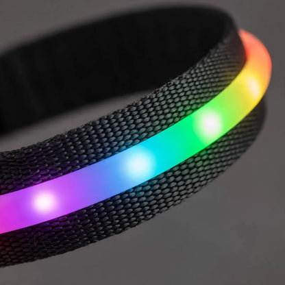 Wiederaufladbares LED Leuchthalsband Für Hunde