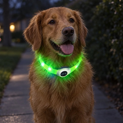 Wiederaufladbares LED Leuchthalsband Mit Druckschalter