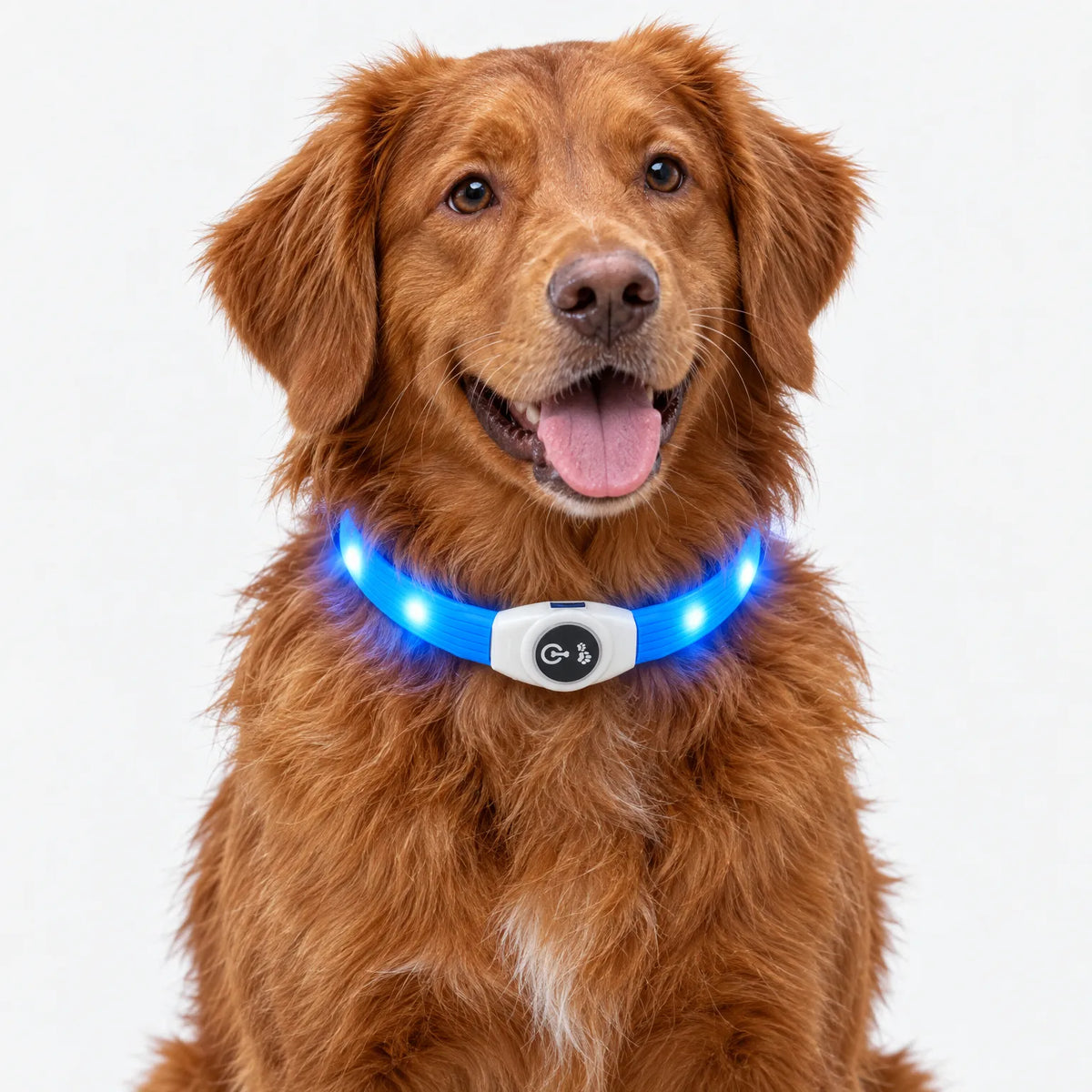 Wiederaufladbares LED Leuchthalsband Mit Druckschalter