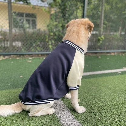 Tango | Wetterfester Hundemantel ohne nassen Hundegeruch