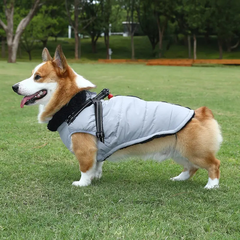 Elia Wasserdichte Hundejacke