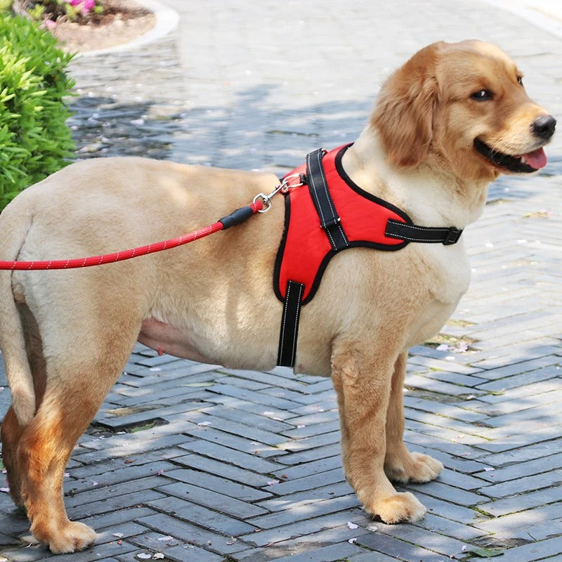 Noah Atmungsaktives Anti-Zug Hundegeschirr